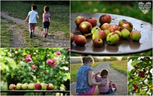 Schwarzwald mit Kindern