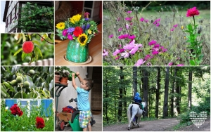 Urlaub mit Kindern im Schwarzwald