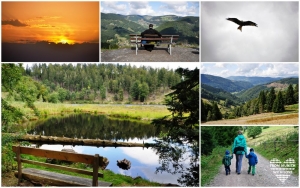 Schwarzwald mit Kindern Urlaub