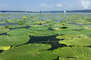 Ammersee Mamablog